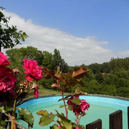 Apartament Landhaus Florian Rovensko pod Troskami Zewnętrze zdjęcie
